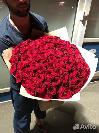Розы 101 роза 51 31