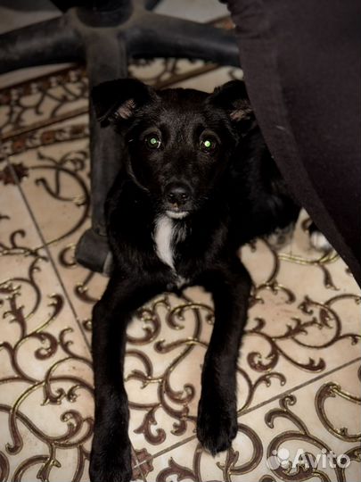 Девчушка в самые добрые руки