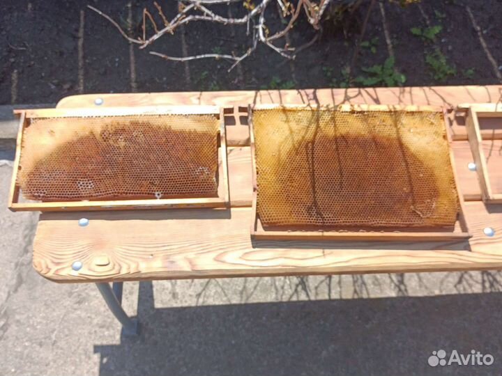 Рамки пчелинные с сушью и без