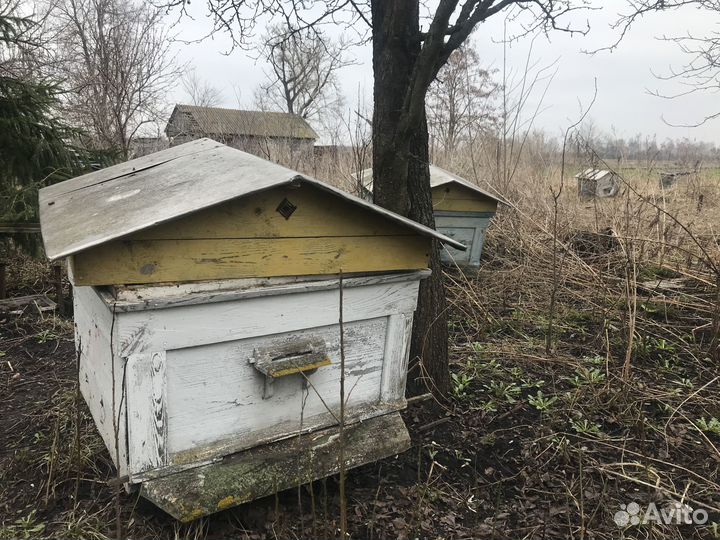 Продам ульи для пчел