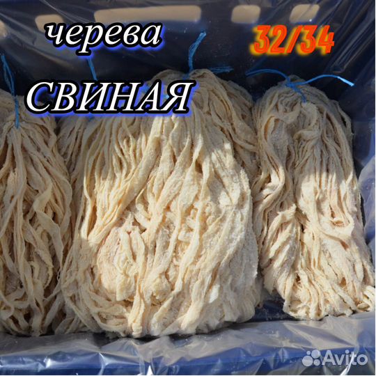 Черева свиная оболочка для купат 32-34