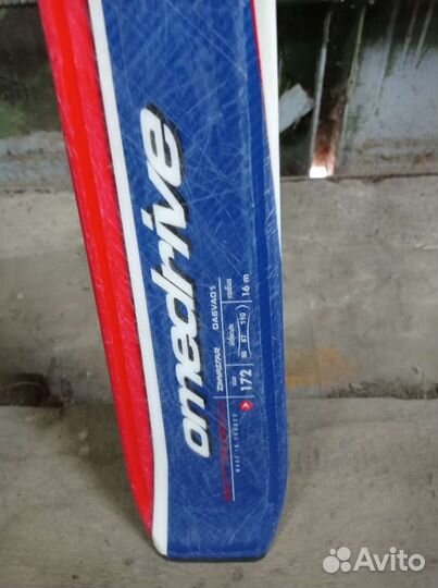 Горные лыжи