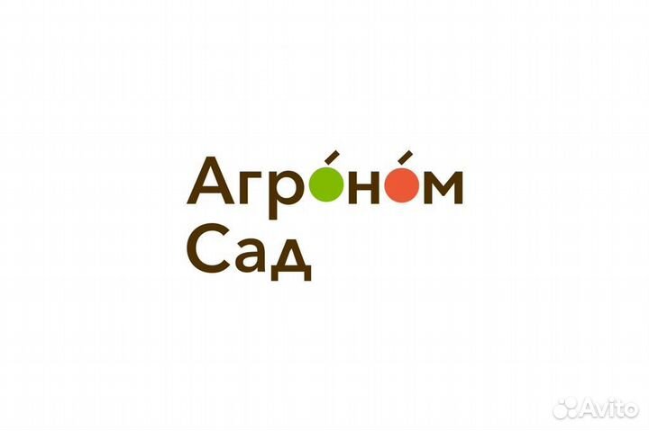 Разнорабочий на Сбор Яблок Липецкая обл. Вахта