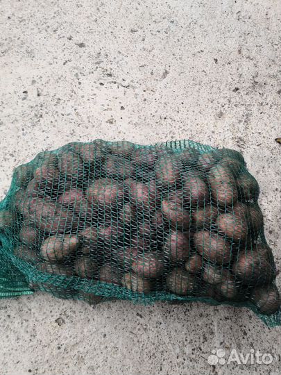Продам картофель с доставкой
