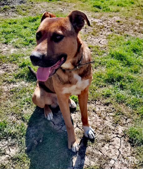 Помогите спасти