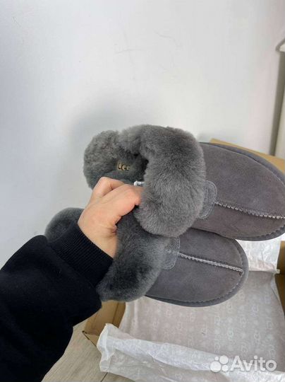 Ugg Slippers Scufette Grey