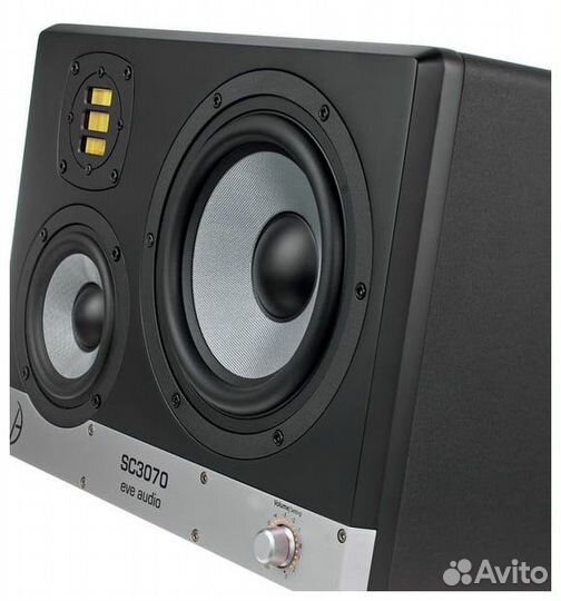 Студийный монитор EVE Audio SC3070-R