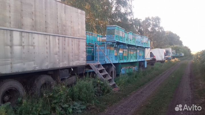 Платформа для пчел