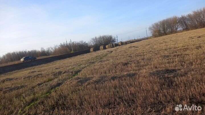 Сено в тюках так же есть солома