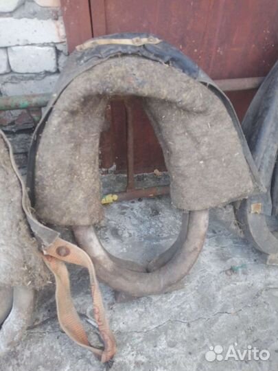 Лошадиная сбруя