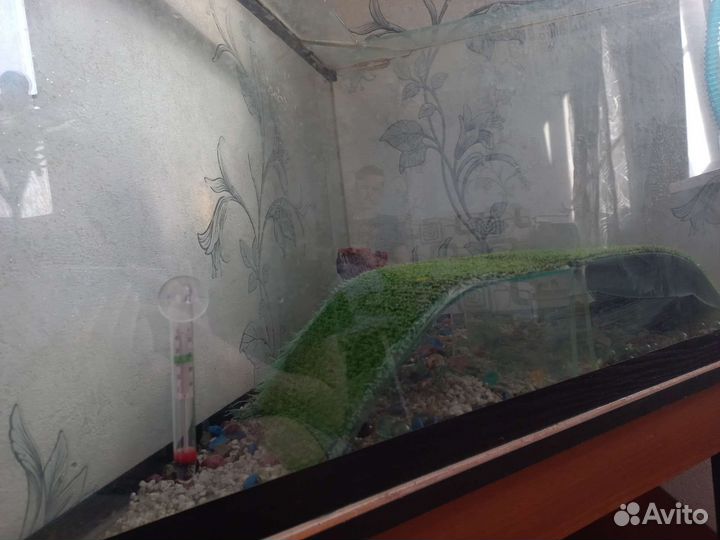Аквариум с тумбой 98 литров