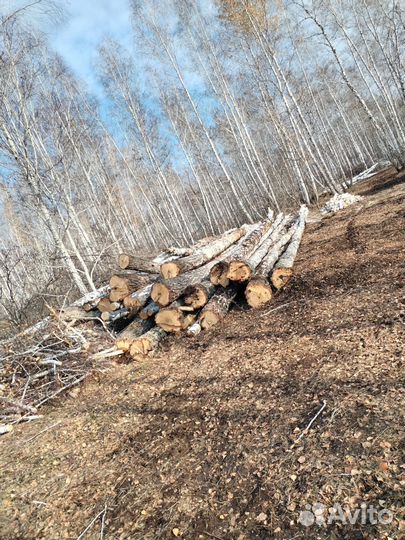 Дрова колотые