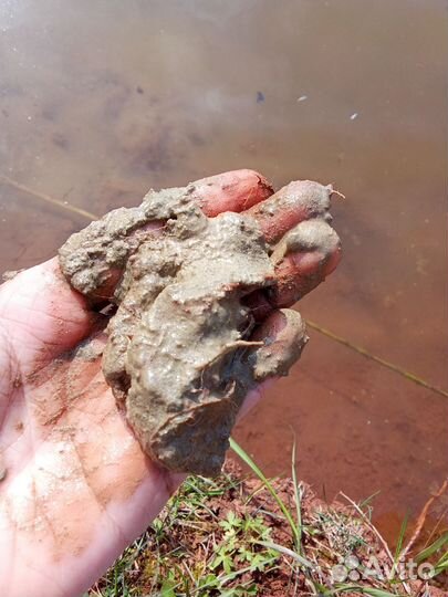 Синяя лечебная глина