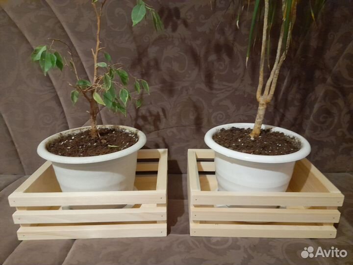 Ящик под различные нужды