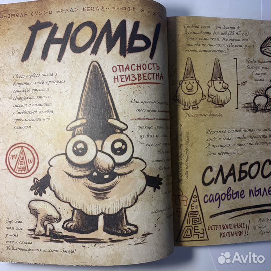 Гравити Фолз Дневник 3