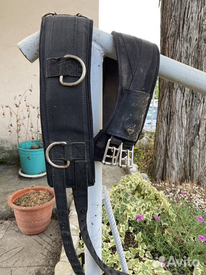 Вещи для конного спорта