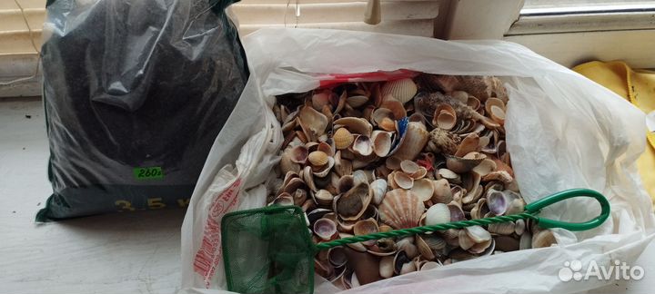 Ракушки и грунт