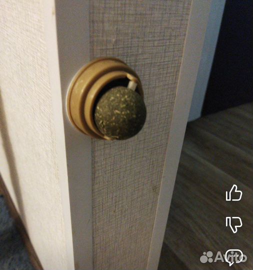 Кошачья мята