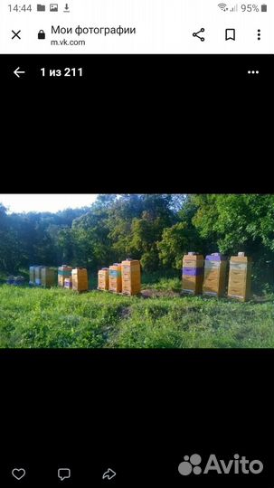 Мед натуральный