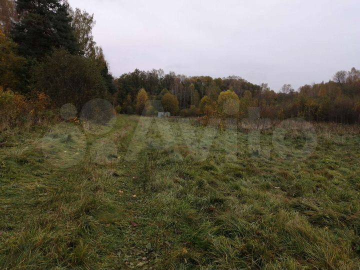 Участок 50 га (СНТ, ДНП)