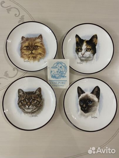 Тарелки фарфор Coalport, Кошки, Англия