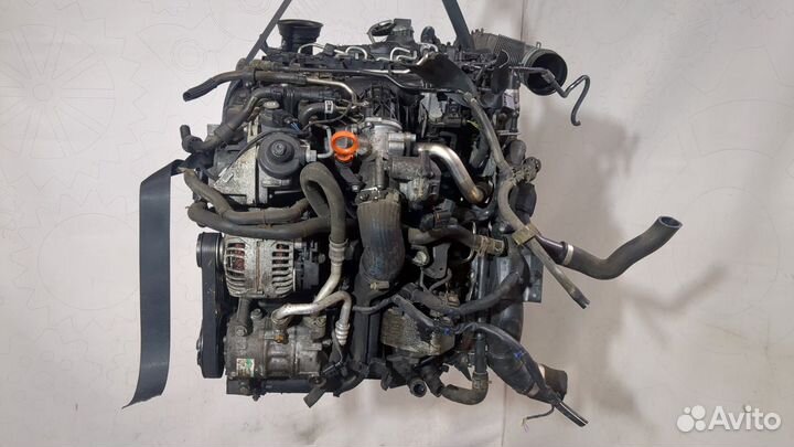 Двигатель Audi A3 (8P) cbab 2 Дизель, 2010