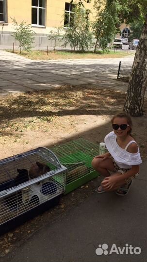 Солнцезащитные очки детские invu