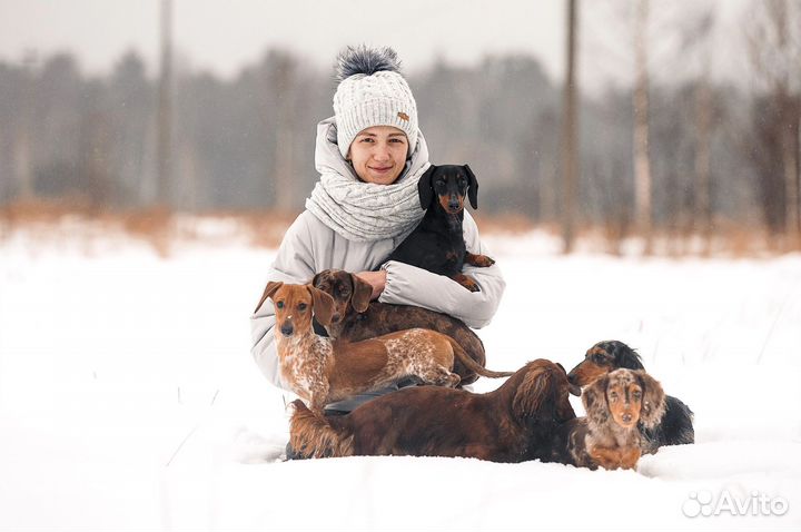 Передержка собак у кинолога