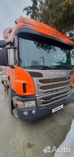 Scania P440, 2017