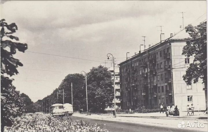 Старый Кёнигсберг (Калининград) архив фотографий