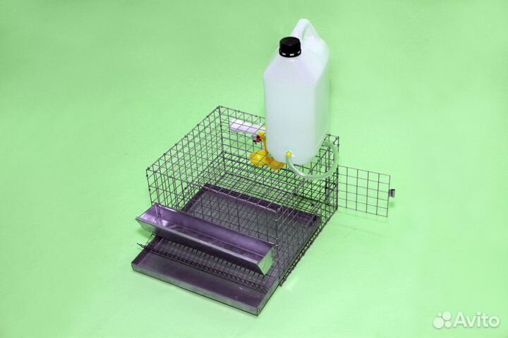 Клетка для перепелов на 10 голов