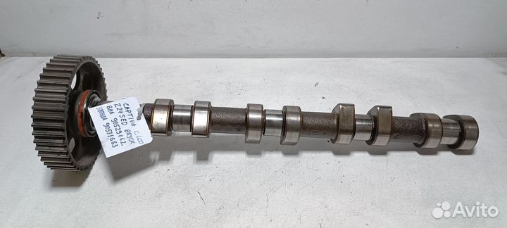 Распредвал впускной Chevrolet Captiva c100 2.4