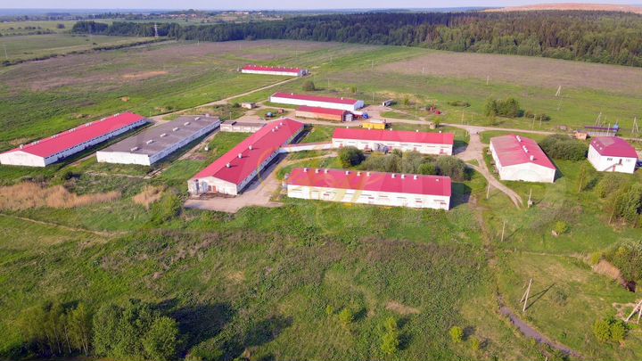 ПСН в черте города