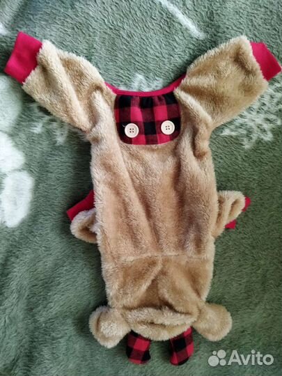 Костюм на маленькую собачку