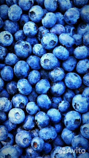 Комплектовщик Вахта Чапаевск от 10 смен