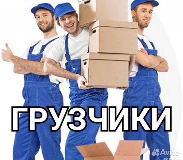 Грузчики