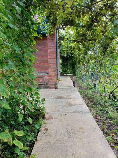 Дом 120 м² на участке 16 сот.