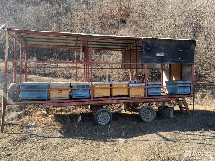 Прицеп