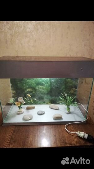 Аквариум