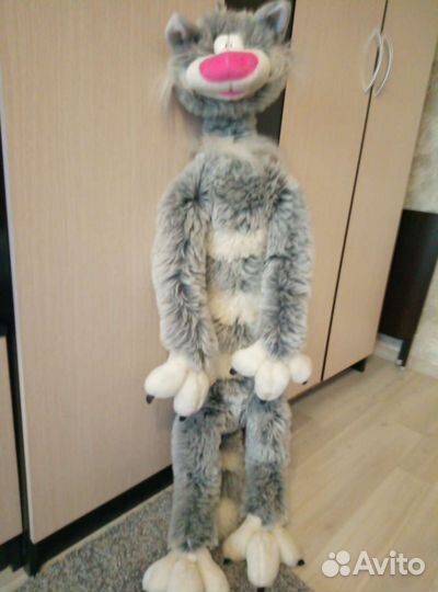 Чудесный кот