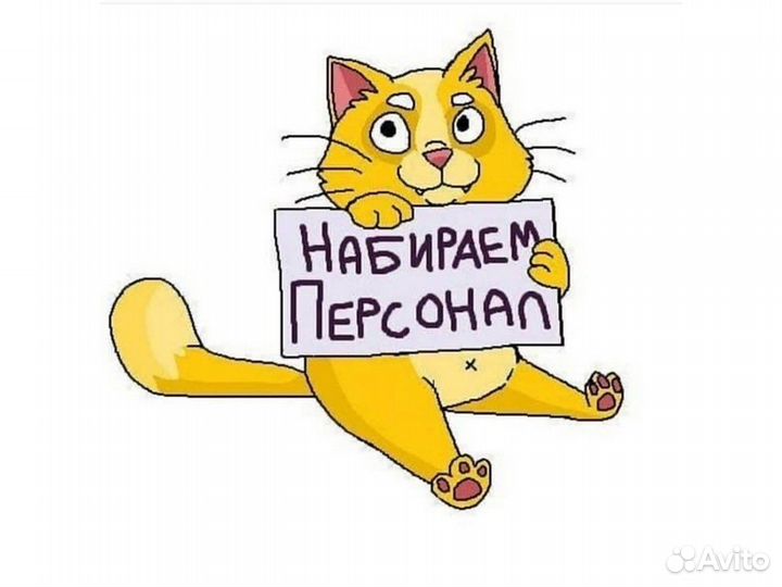 Грузчики вахта на производ.салатов Б/опыта +Отл.Ус