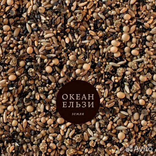 Океан Ельзи - Земля 2024 (2Lp, 45)
