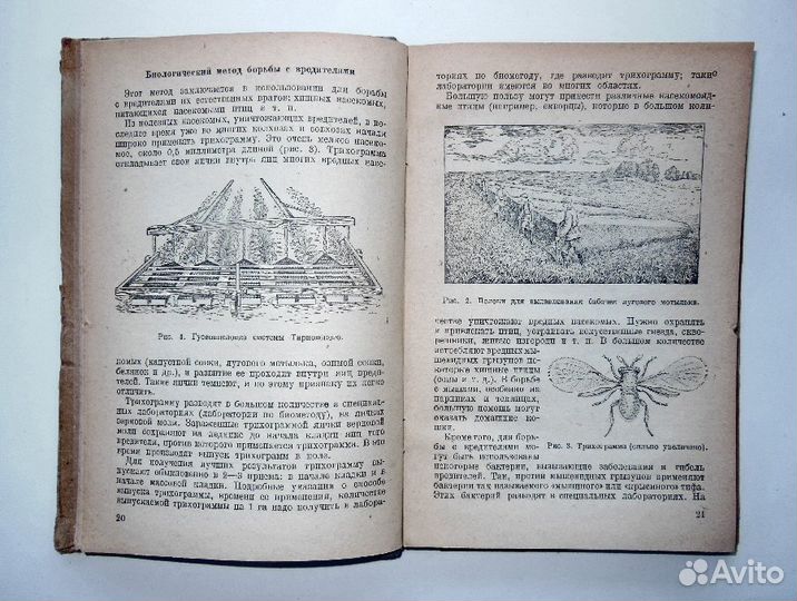 Главнейшие вредители и болезни овощных растений