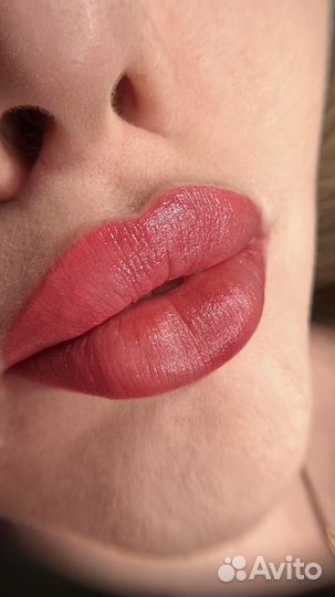 Модель на перманент