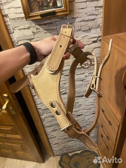 Шлейка для собаки