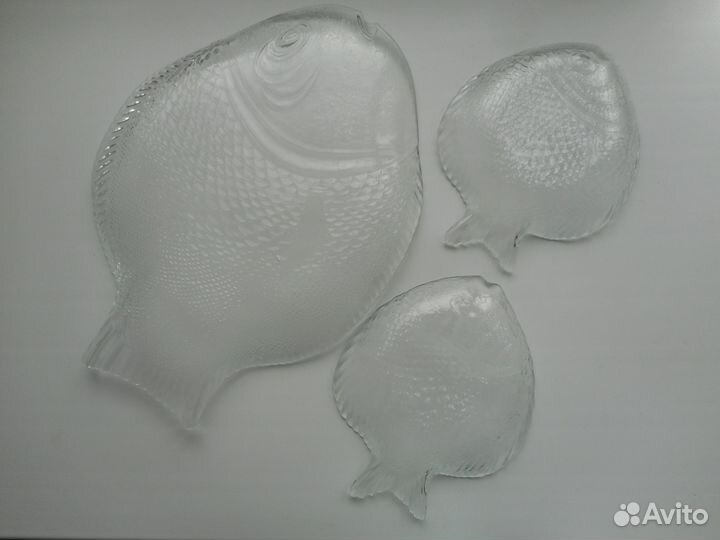 Рыбницы стеклянные