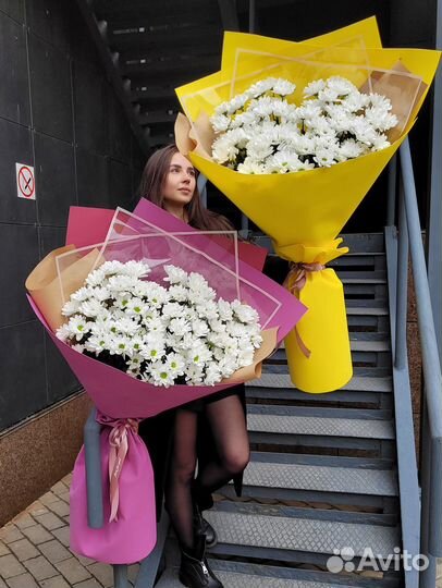 Хризантемы Букет-Гигант. Цветы-Доставка