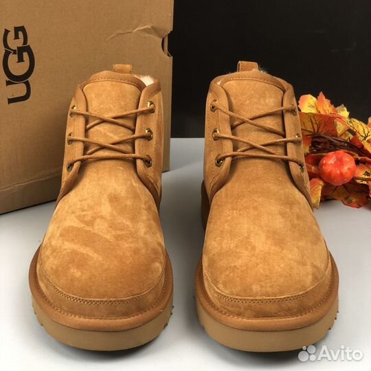 Ботинки зимние угги Ugg Neumel Chestnut