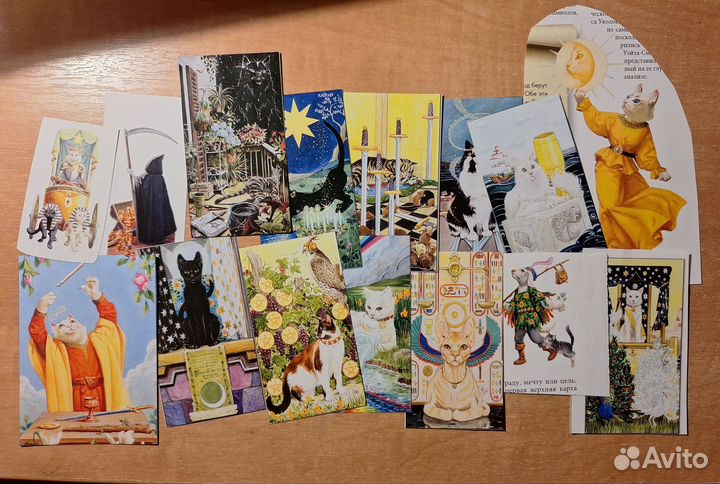 Вырезки с котами