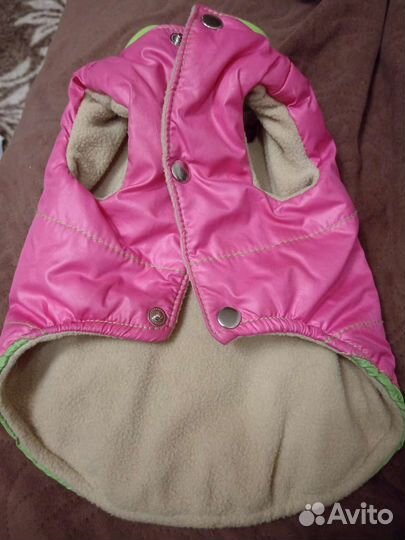 Безркуавка для маленьких собак